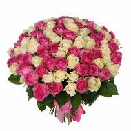 101 бело-розовая роза