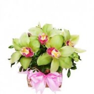 Таинственный образ 