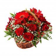 Красная поляна