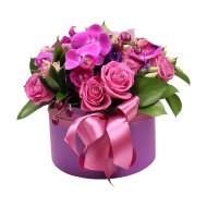 Элегантность