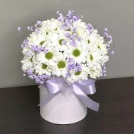 Шляпная коробка Теплый вечер